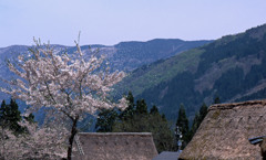富山県　相倉合掌造り集落Ｈ24.4.29　09