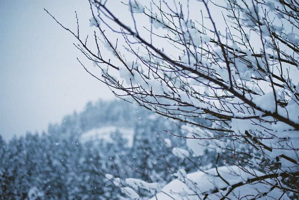 丸岡温泉たけくらべにて