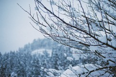 丸岡温泉たけくらべにて