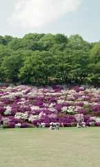 鯖江　西山公園04