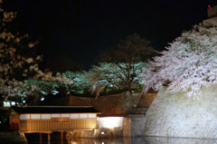 福井県庁　お堀　夜07