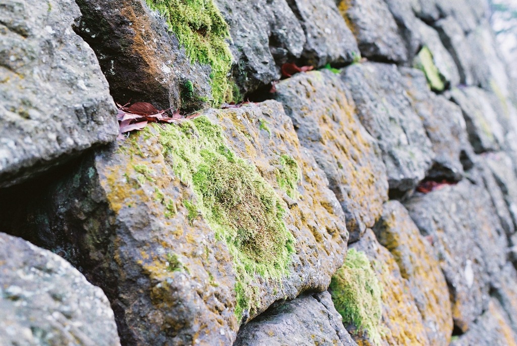 福井県庁周辺03