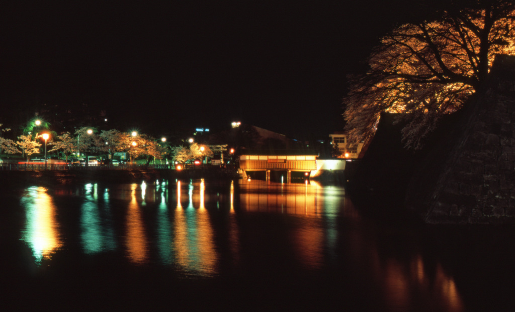 福井城址　Ｈ25.04　15