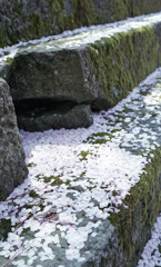 福井県庁　石垣01