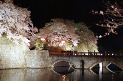 福井県庁　お堀　夜02