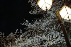 福井県庁　お堀　夜05