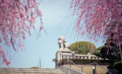 佐佳枝廼社４月中旬04