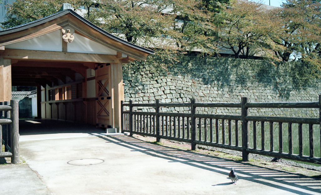 福井市中央公園　10月下旬02