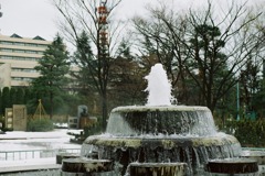 福井市中央公園09