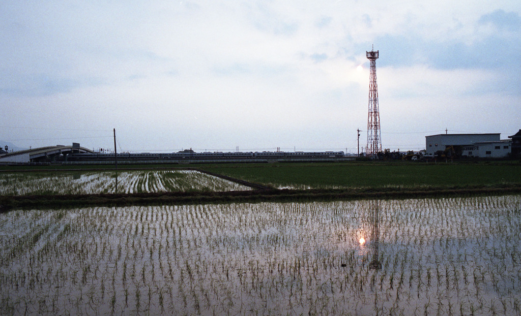 坂井市坂井町夕日