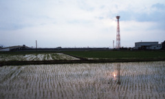 坂井市坂井町夕日