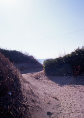 三国サンセットビーチ01