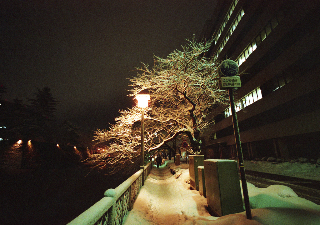 福井市大手１月頃01