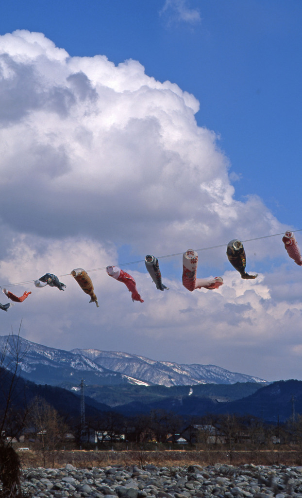 勝山市弁天河原Ｈ24.4.7　01