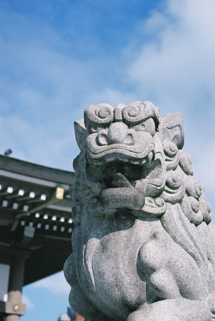 佐佳枝廼社　狛犬（右）