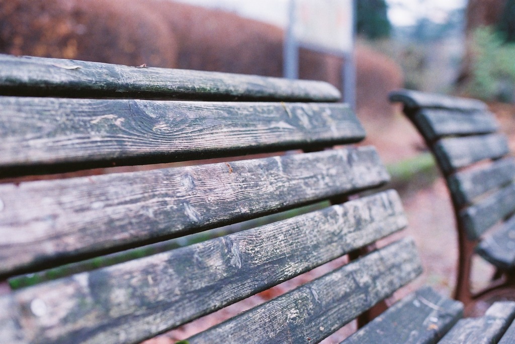 福井市中央公園08