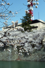 福井県庁お堀01