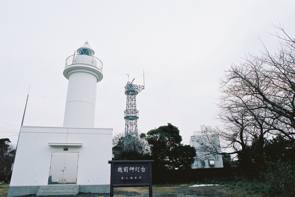 越前岬水仙ランド　越前岬灯台