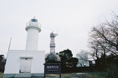 越前岬水仙ランド　越前岬灯台