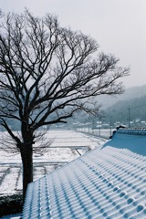 Ｈ23.03.03　降雪01