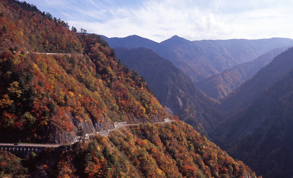 白山スーパー林道　Ｈ25.11.02　14