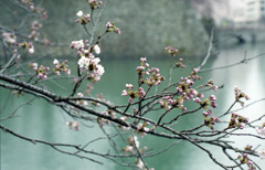 福井県庁　お堀