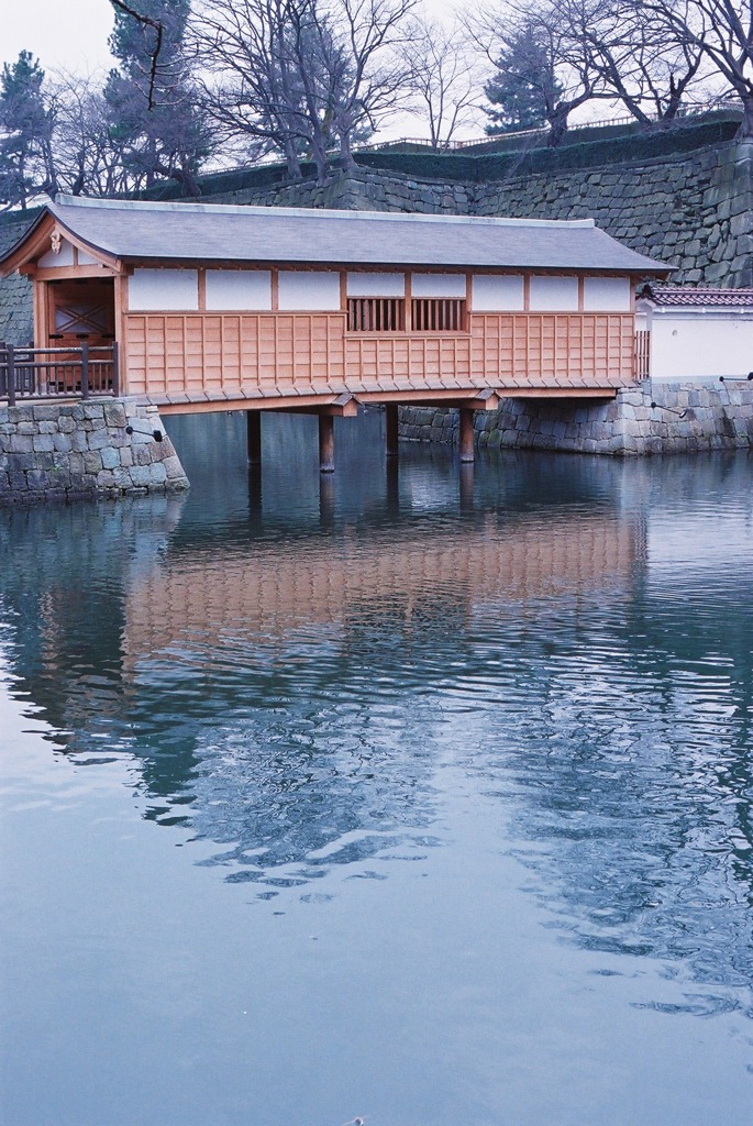 福井県庁周辺01