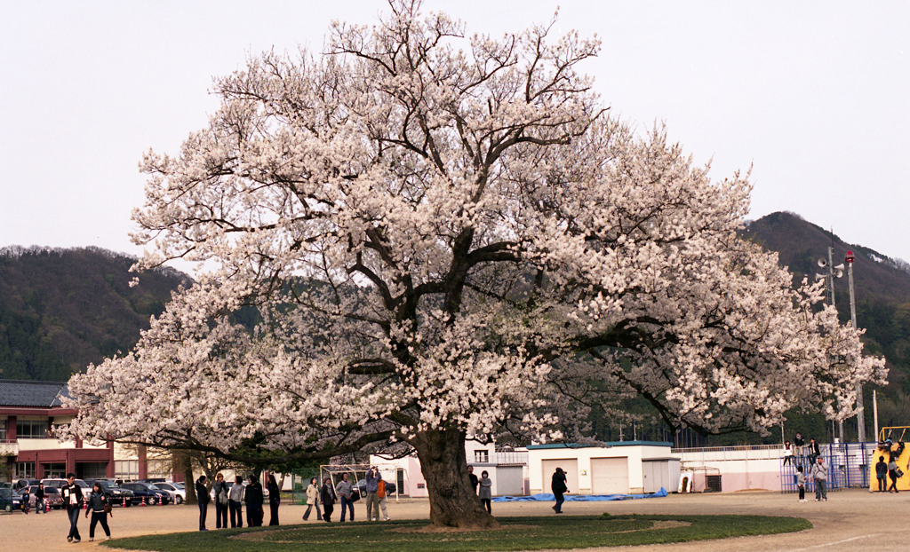 味真野小学校02