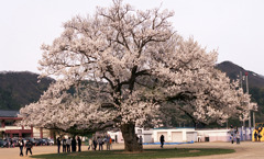 味真野小学校02