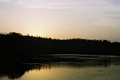 加賀市鴨池観察館