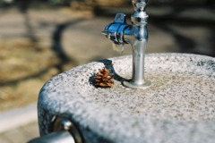 丸岡城　水のみ場