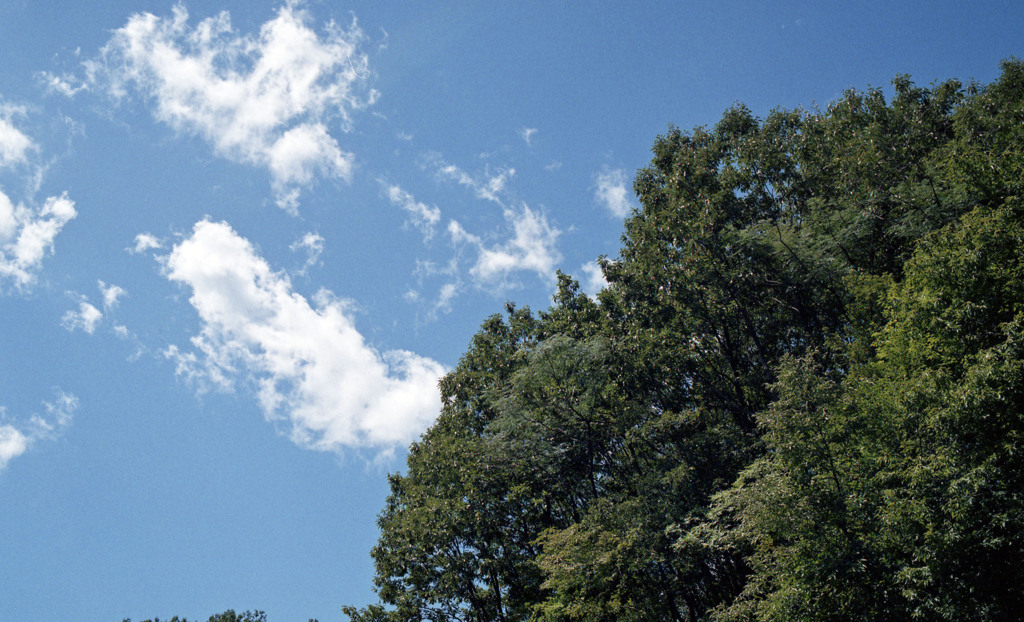 ふくい健康の森（H23.9.6）01