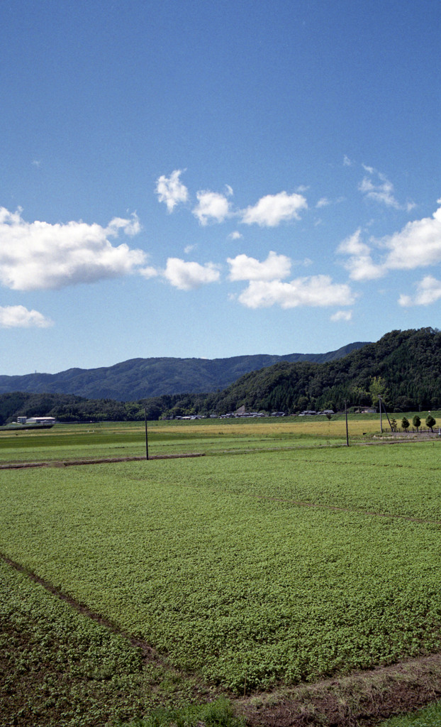 福井市竹生町（H23.9.6）