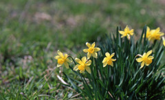 坂井市坂井町長屋Ｈ24.4.8　02