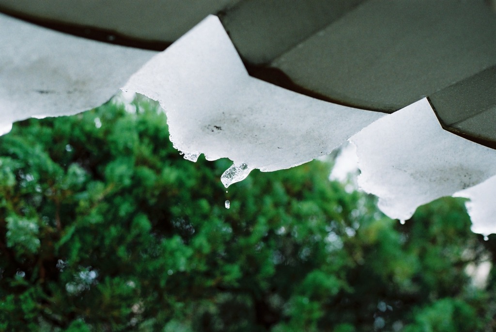 福井市中央公園10