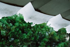 福井市中央公園10