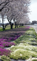 県道159長畑金津線01