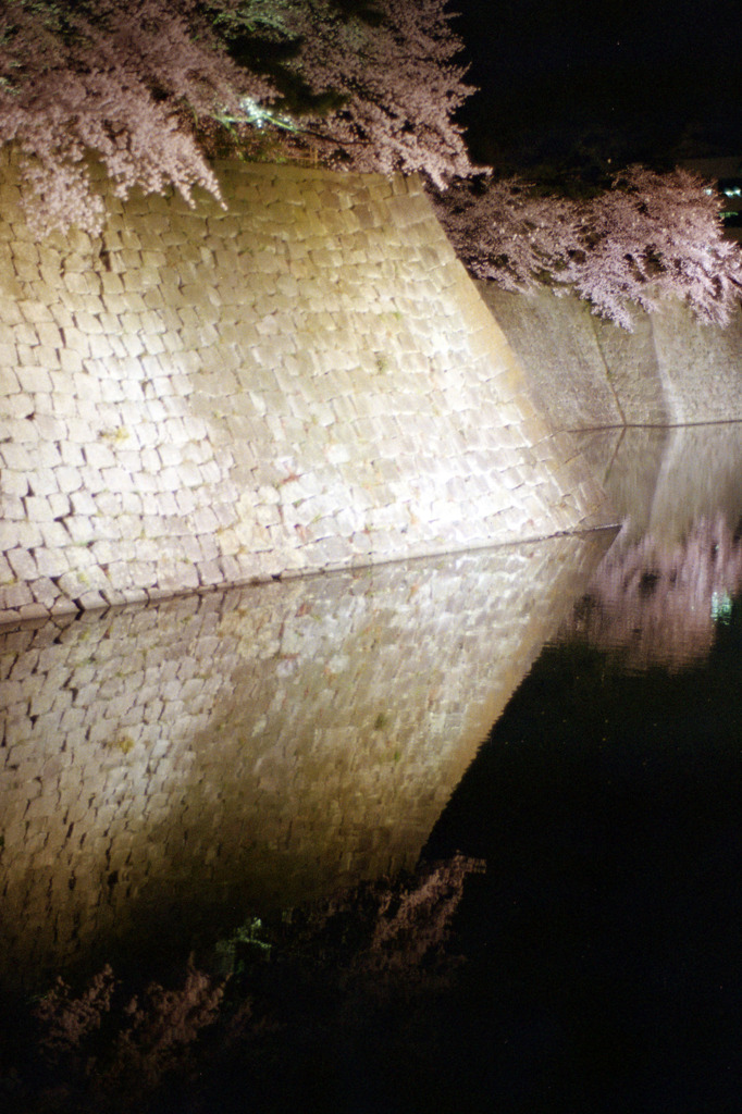 福井県庁　お堀　夜04