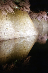 福井県庁　お堀　夜04