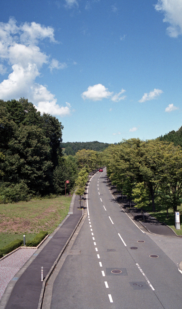 ふくい健康の森（H23.9.6）03