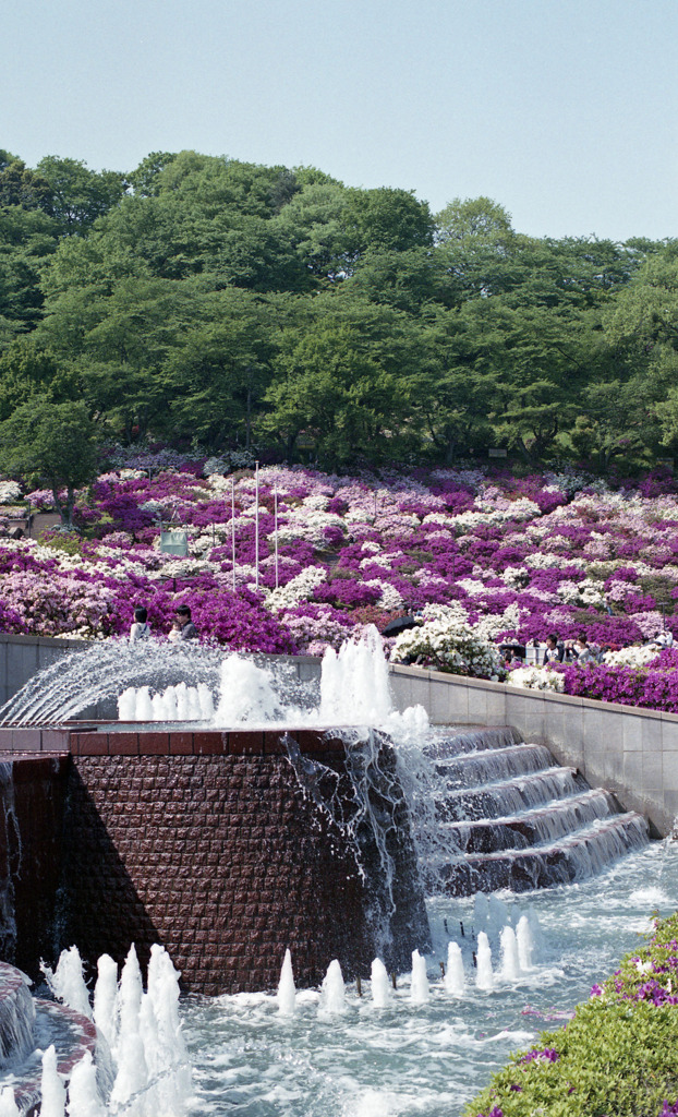鯖江　西山公園02