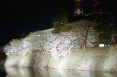 福井県庁　お堀　夜01