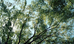 福井市中央公園　10月下旬04