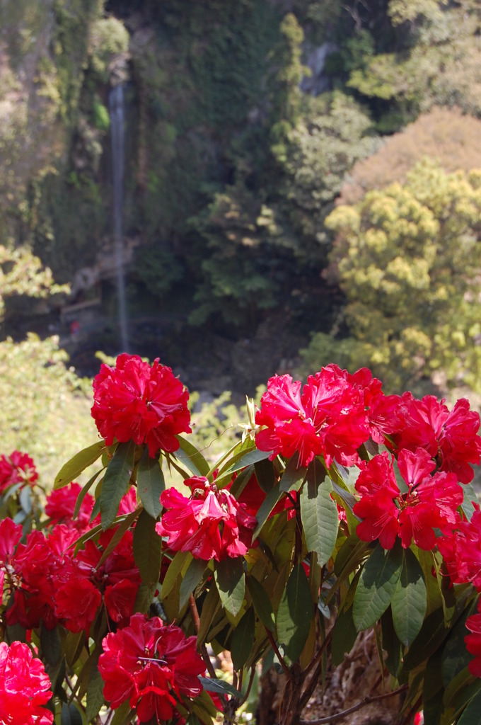大村・裏見の滝