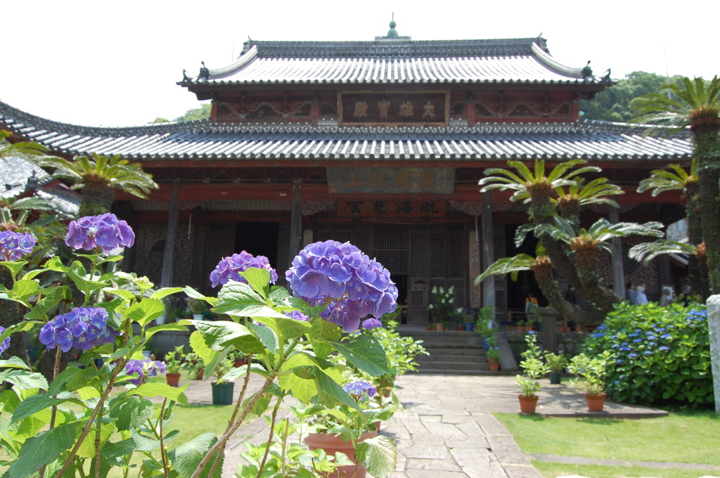 あじさい　　興福寺