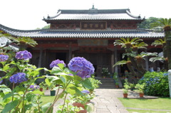 あじさい　　興福寺