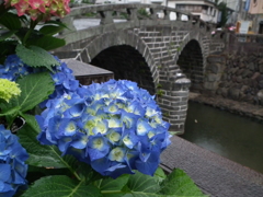 ながさき紫陽花（おたくさ）まつり