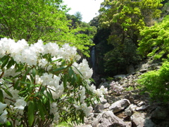 大村・裏見の滝