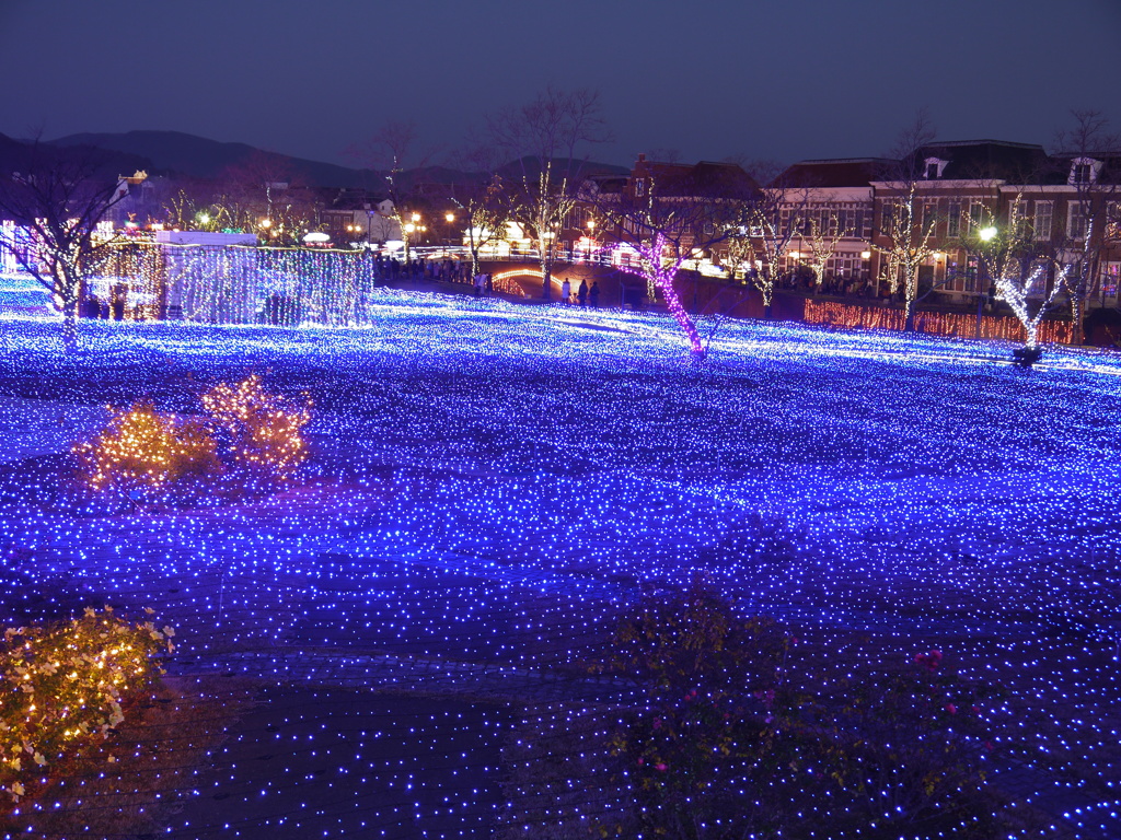 HTB光の王国　2013-2014