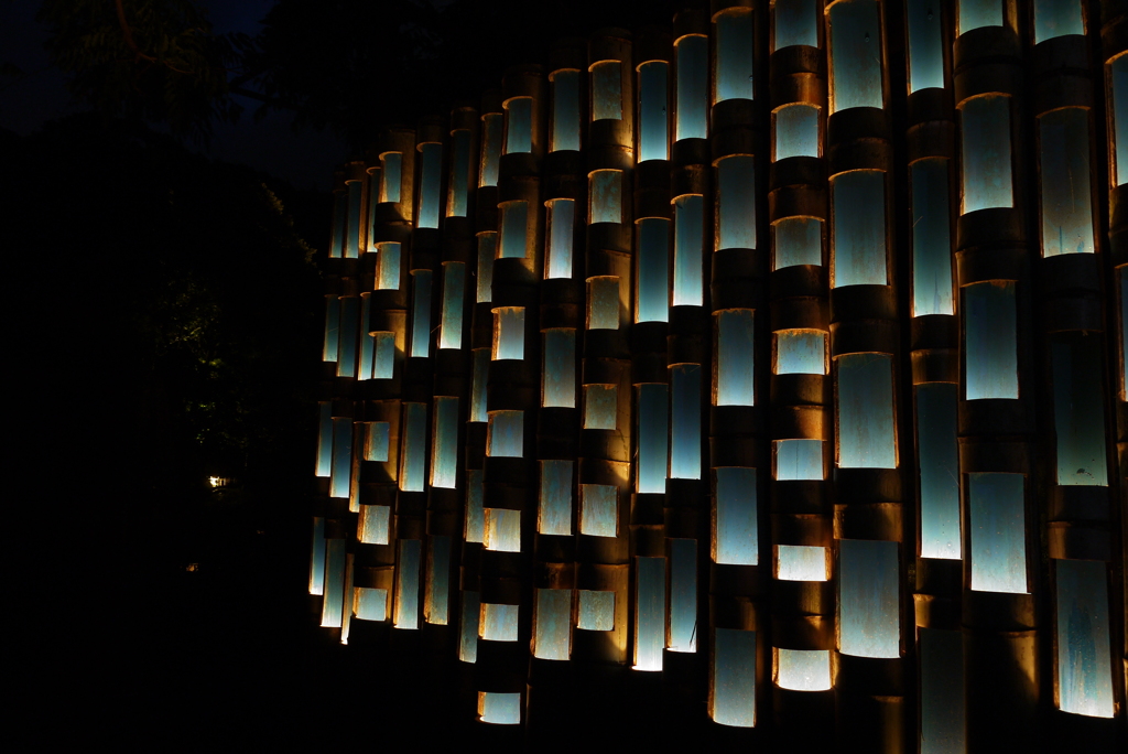 佐賀御船山楽園“七夕竹あかり”